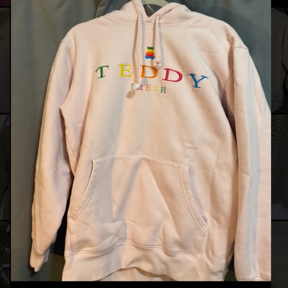 Teddy fresh unisex hoodie